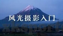 7m比分足球比分即时比分直播-揭秘7m比分，足球迷的即时比分直播神器与深度观赛指南