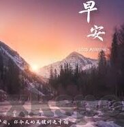 捷报比分足球预测-捷报比分，足球预测领域的智慧领航者