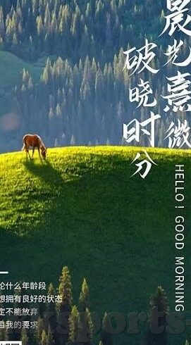 体彩网足球比分-深度剖析体彩网足球比分，数据背后的竞技智慧与投注艺术