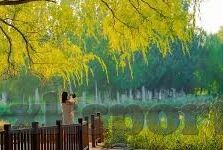 足球直播500比分-足球直播500比分，实时数据背后的激情与策略